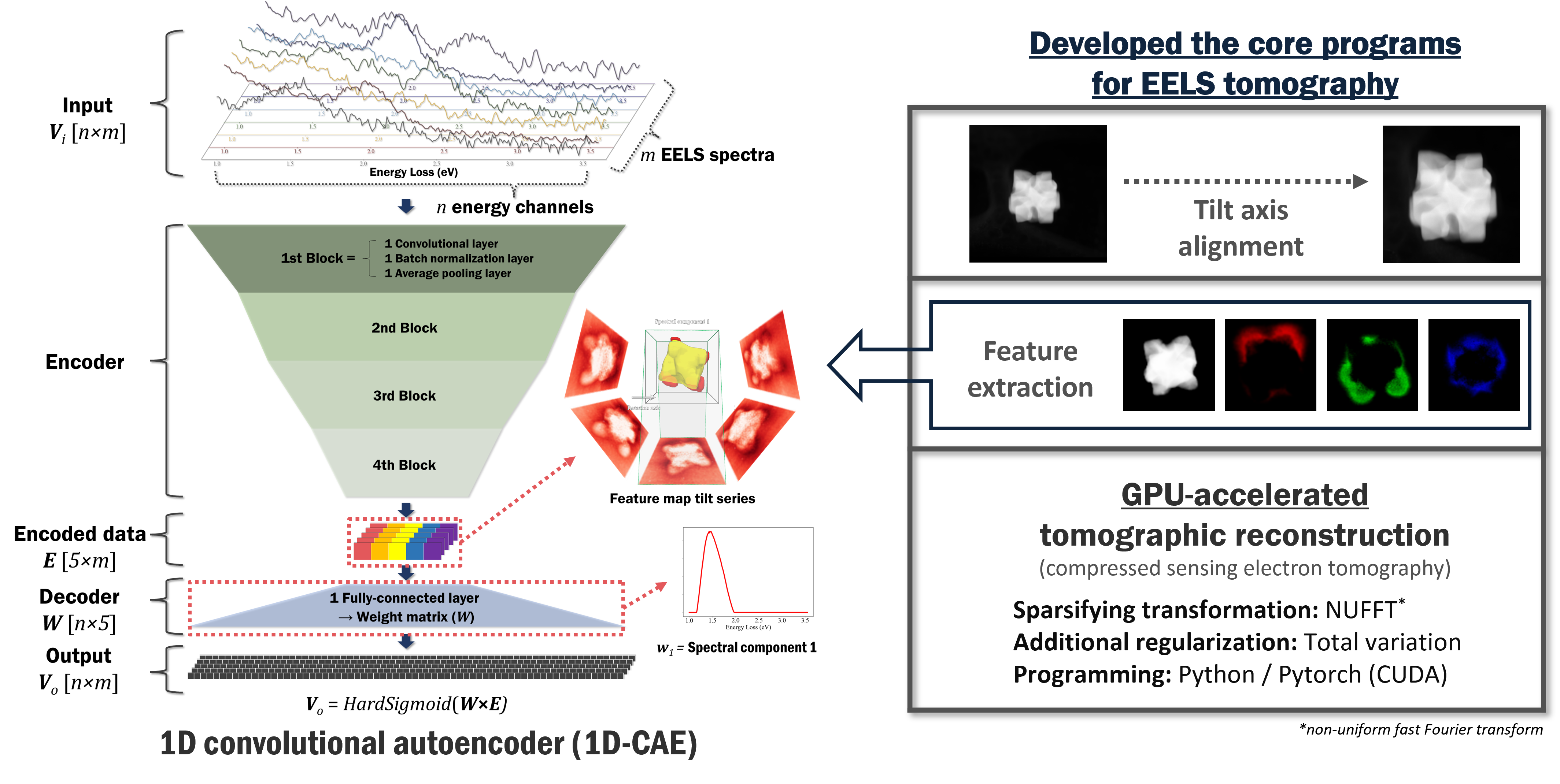 CAETomo EELS tomography workflow