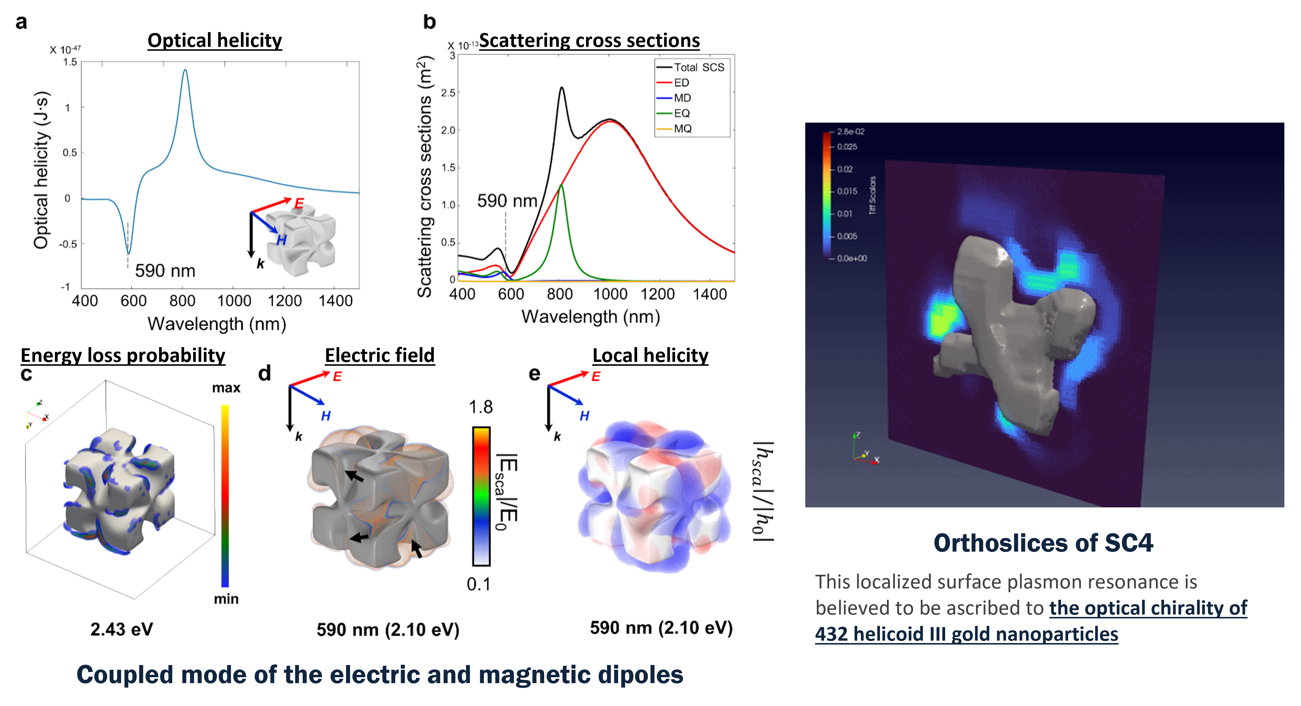 Three-dimensional plasmonic near-field observation of a chiral gold nanoparticle