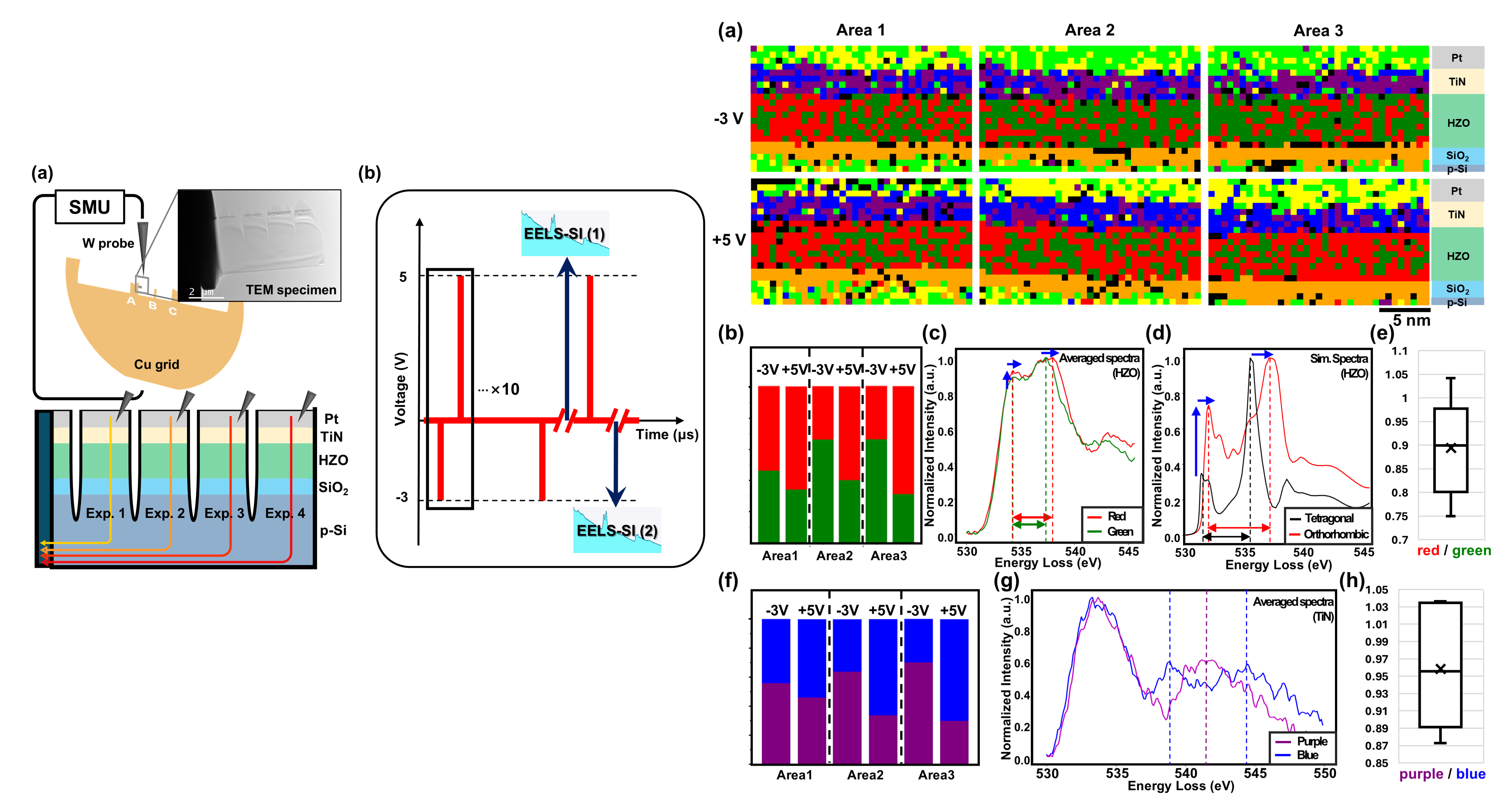 in situ biasing TEM investigation of hafnium zirconium oxide